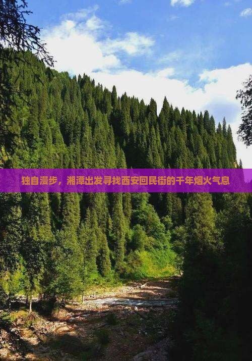 独自漫步，湘潭出发寻找西安回民街的千年烟火气息