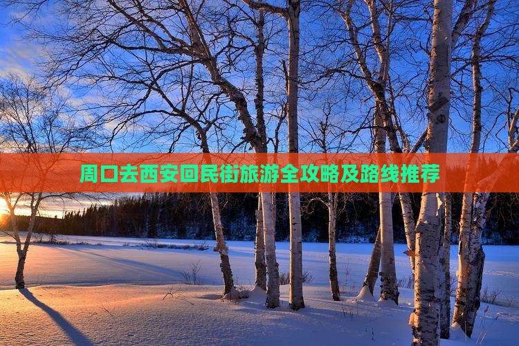 周口去西安回民街旅游全攻略及路线推荐