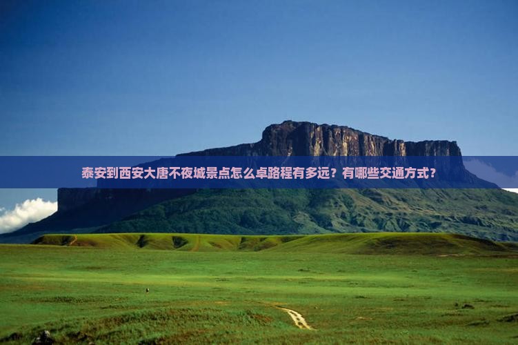 泰安到西安大唐不夜城景点怎么卓路程有多远？有哪些交通方式？