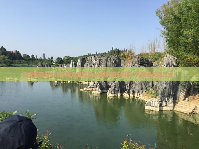 泰安到西安大唐不夜城景点怎么卓路程有多远？有哪些交通方式？
