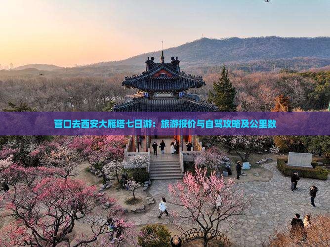 营口去西安大雁塔七日游：旅游报价与自驾攻略及公里数
