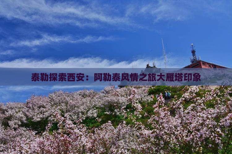 泰勒探索西安：阿勒泰风情之旅大雁塔印象