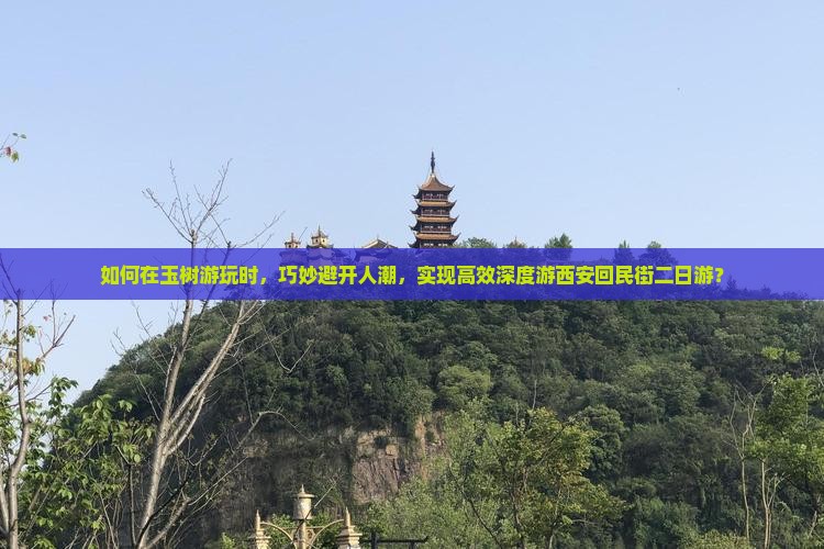 如何在玉树游玩时，巧妙避开人潮，实现高效深度游西安回民街二日游？