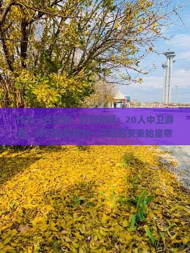 作为一名导游，好奇询问：20人中卫游客，你们如何规划一天游西安秦始皇帝陵博物院？有备无患攻略分享吗？