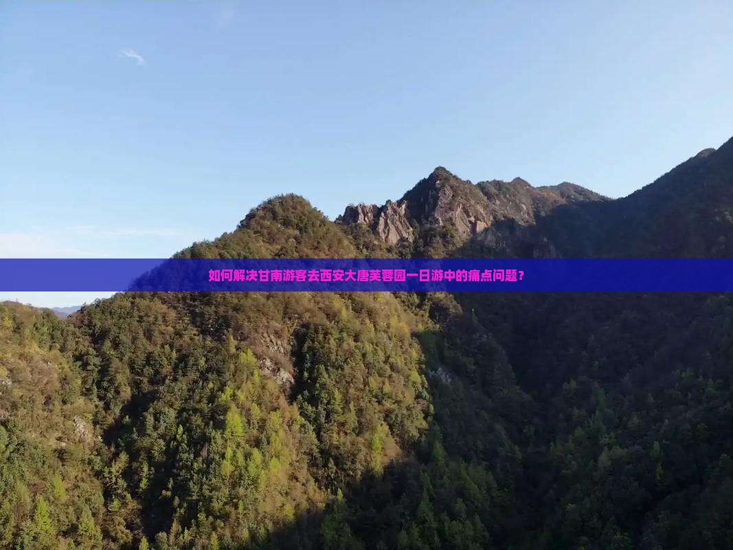 如何解决甘南游客去西安大唐芙蓉园一日游中的痛点问题？