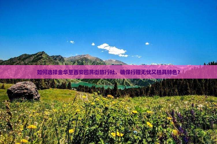如何选择金华至西安回民街旅行社，确保行程无忧又独具特色？