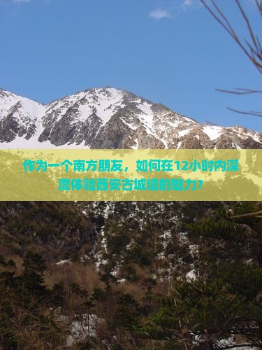 作为一个南方朋友，如何在12小时内深度体验西安古城墙的魅力？