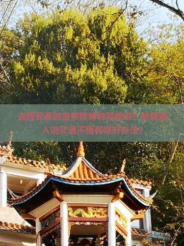 去西安秦始皇帝陵博物院旅游？防城港人说交通不便有啥好办法？