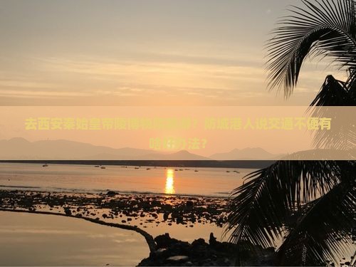 去西安秦始皇帝陵博物院旅游？防城港人说交通不便有啥好办法？