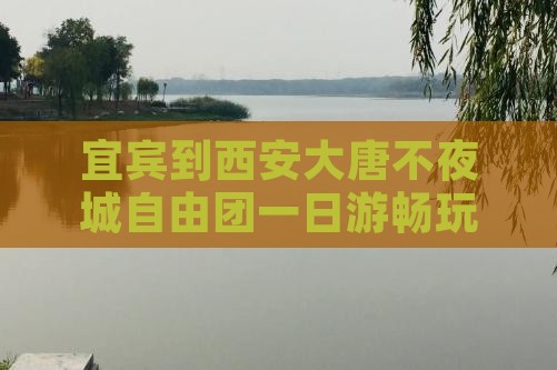 宜宾到西安大唐不夜城自由团一日游畅玩之旅