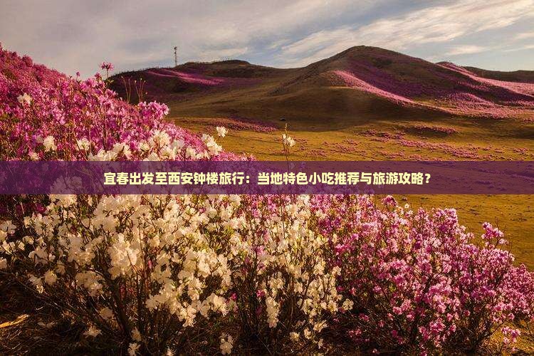 宜春出发至西安钟楼旅行：当地特色小吃推荐与旅游攻略？