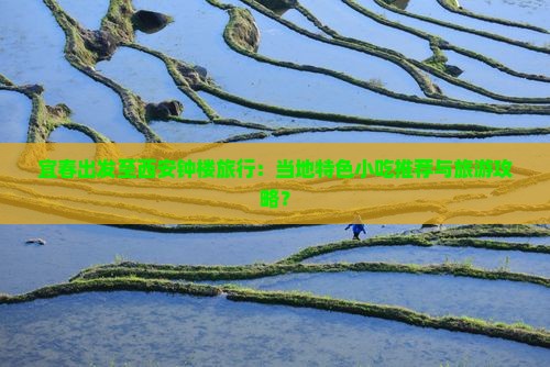 宜春出发至西安钟楼旅行：当地特色小吃推荐与旅游攻略？
