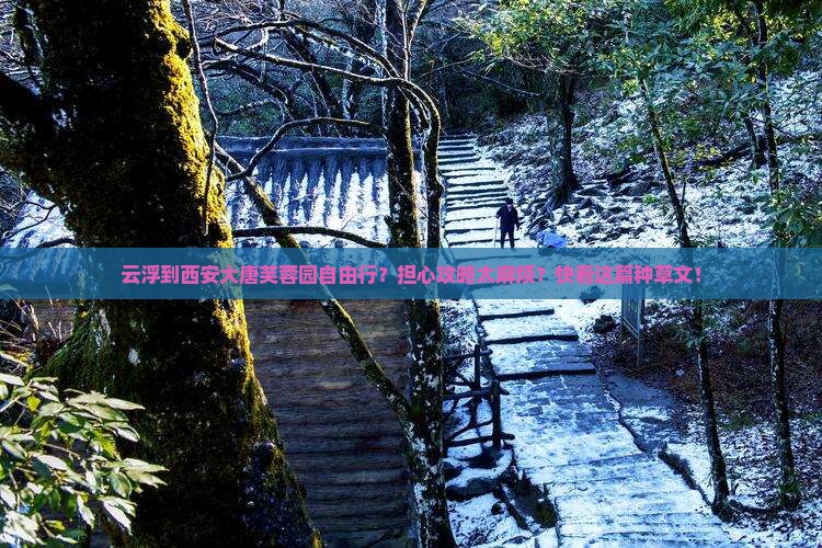 云浮到西安大唐芙蓉园自由行？担心攻略太麻烦？快看这篇种草文！