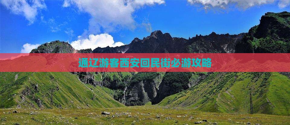 通辽游客西安回民街必游攻略