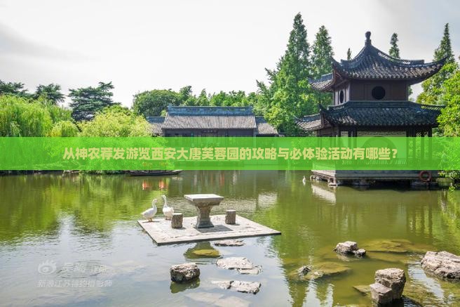 从神农荐发游览西安大唐芙蓉园的攻略与必体验活动有哪些？