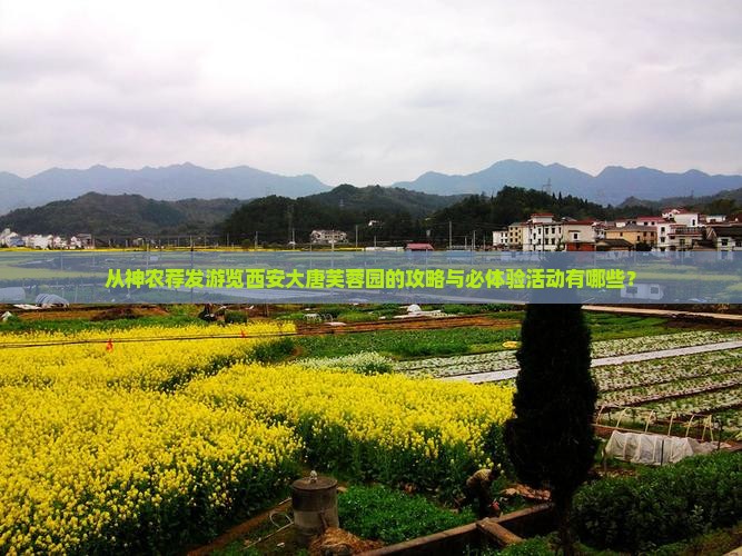 从神农荐发游览西安大唐芙蓉园的攻略与必体验活动有哪些？