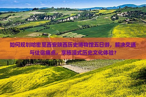 如何规划哈密至西安陕西历史博物馆五日游，解决交通与住宿痛点，享柿浸式历史文化体验？
