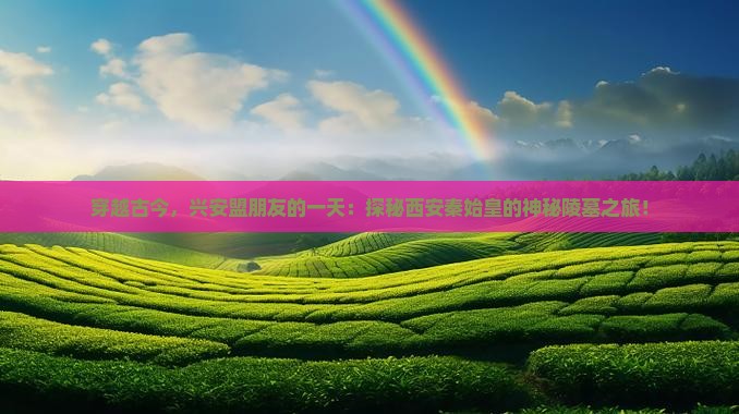 穿越古今，兴安盟朋友的一天：探秘西安秦始皇的神秘陵墓之旅！