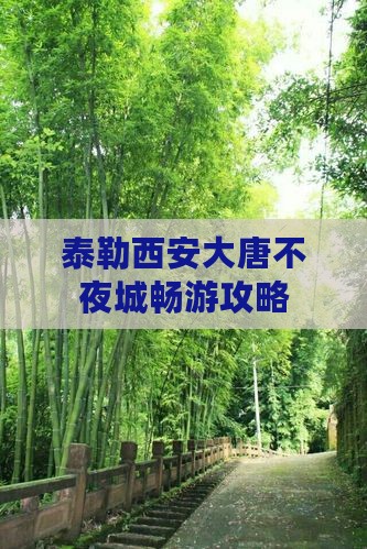 泰勒西安大唐不夜城畅游攻略