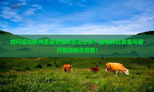 如何规划泰州至西安回民街五日游？解锁网红美食与避开旅游痛点攻略！