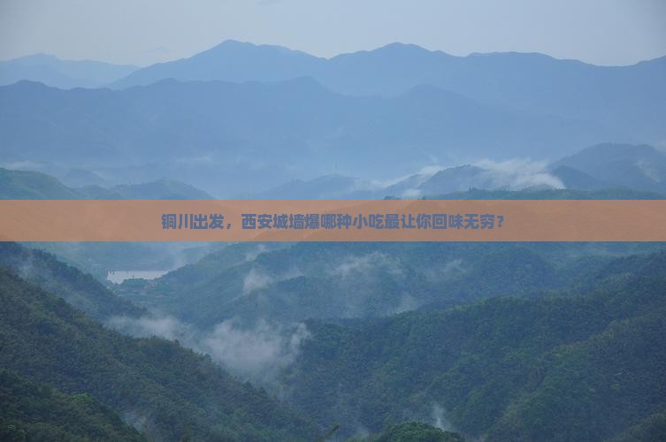 铜川出发，西安城墙爆哪种小吃最让你回味无穷？