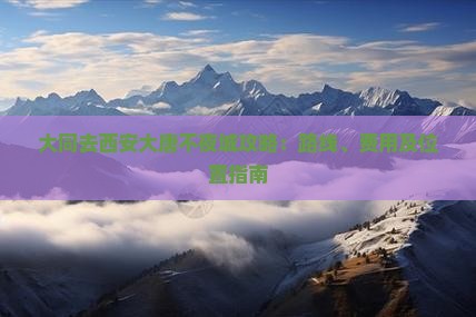 大同去西安大唐不夜城攻略：路线、费用及位置指南