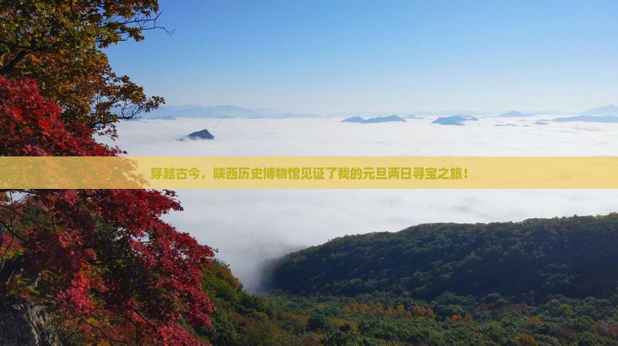 穿越古今，陕西历史博物馆见证了我的元旦两日寻宝之旅！