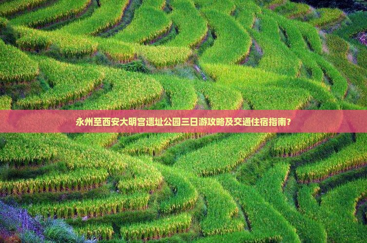 永州至西安大明宫遗址公园三日游攻略及交通住宿指南？