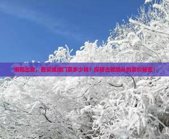 南阳出发，西安城墙门票多少钱？探秘古都墙头的票价秘密！