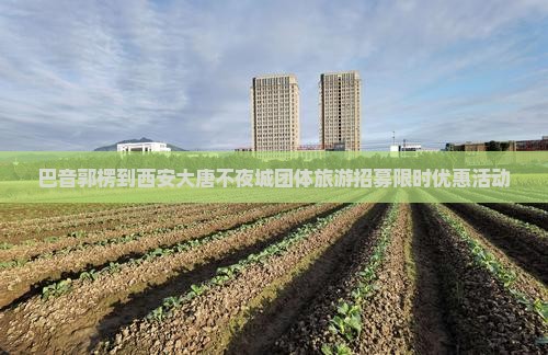 巴音郭楞到西安大唐不夜城团体旅游招募限时优惠活动