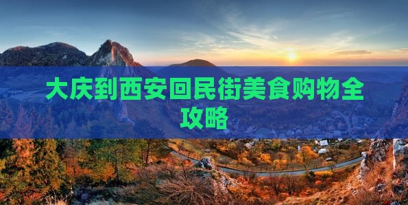大庆到西安回民街美食购物全攻略