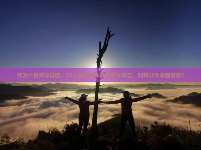 作为一名资深导游，20人徐州团队游西安大明宫，如何让大家都满意？