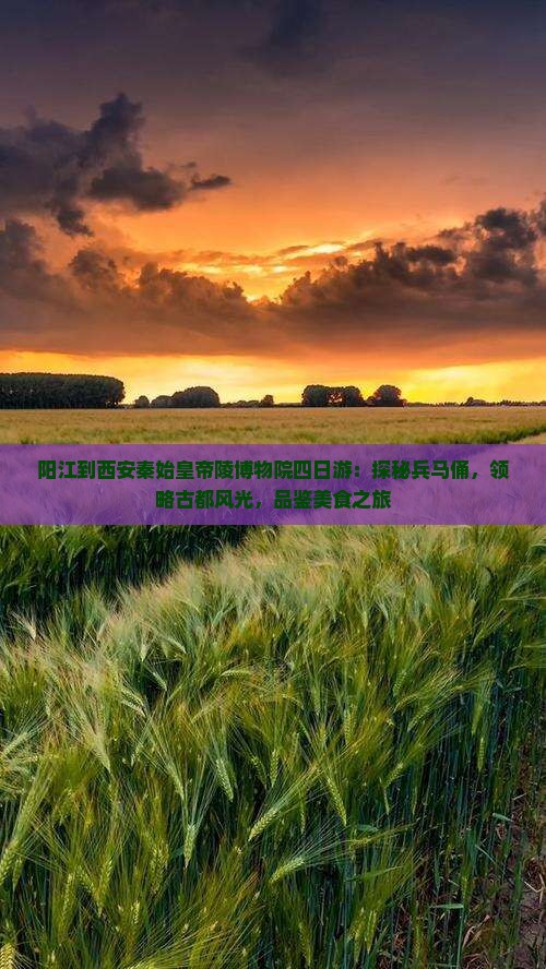 阳江到西安秦始皇帝陵博物院四日游：探秘兵马俑，领略古都风光，品鉴美食之旅