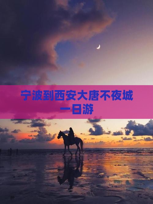 宁波到西安大唐不夜城一日游