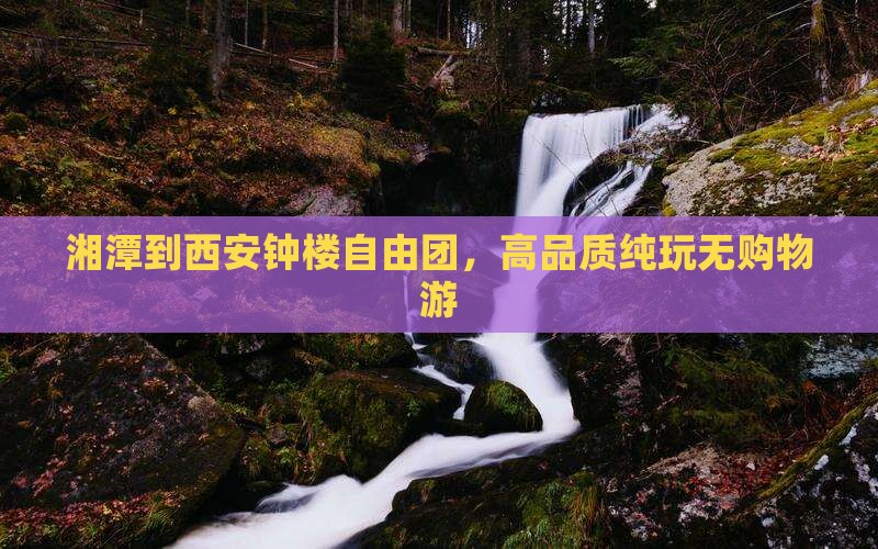 湘潭到西安钟楼自由团，高品质纯玩无购物游