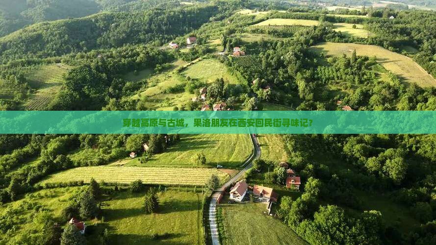穿越高原与古城，果洛朋友在西安回民街寻味记？