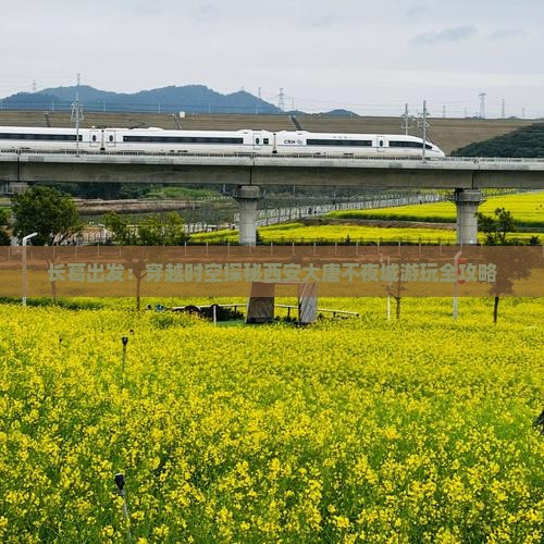 长葛出发：穿越时空探秘西安大唐不夜城游玩全攻略