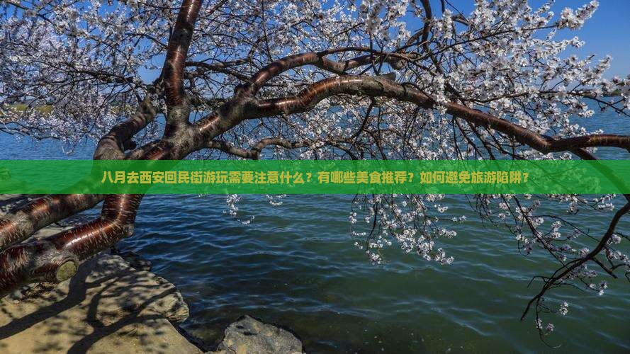 八月去西安回民街游玩需要注意什么？有哪些美食推荐？如何避免旅游陷阱？