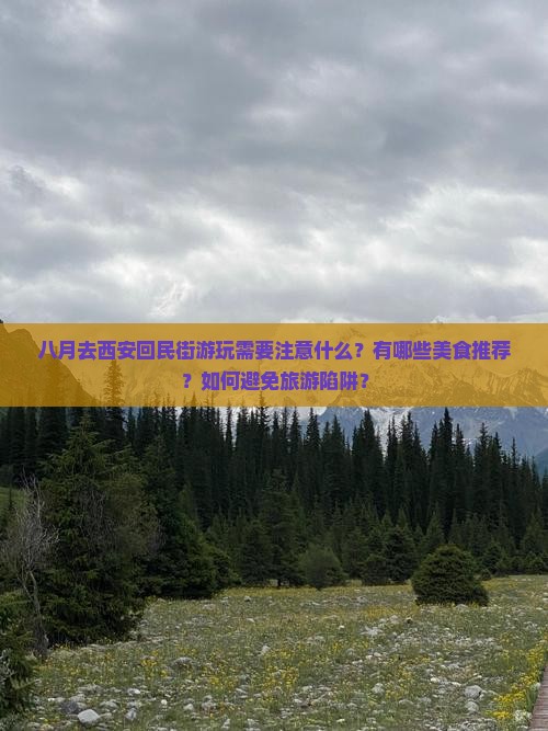 八月去西安回民街游玩需要注意什么？有哪些美食推荐？如何避免旅游陷阱？