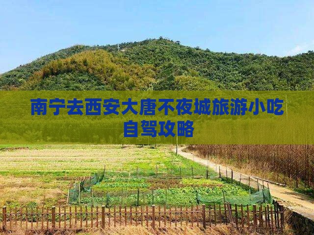 南宁去西安大唐不夜城旅游小吃自驾攻略