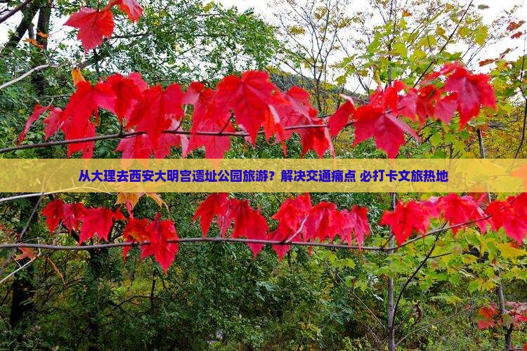 从大理去西安大明宫遗址公园旅游？解决交通痛点+必打卡文旅热地