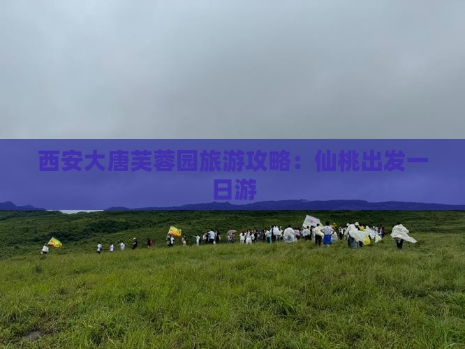 仙桃去西安大唐芙蓉园一日游