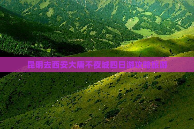 昆明去西安大唐不夜城四日游