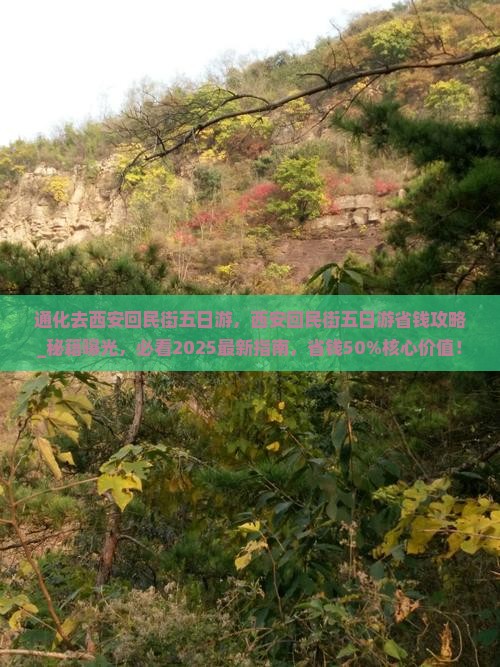 通化去西安回民街五日游 通化去西安回民街五日游