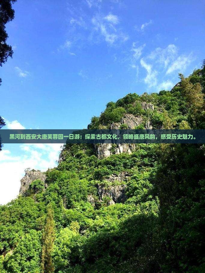 黑河到西安大唐芙蓉园一日游