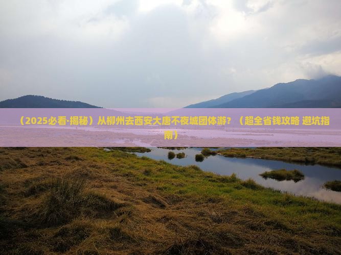 柳州到西安大唐不夜城团体旅游
