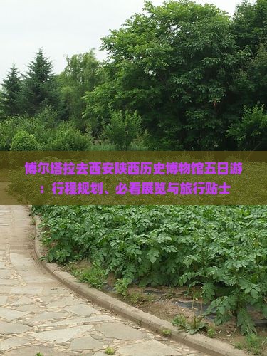 博尔塔拉去西安陕西历史博物馆五日游