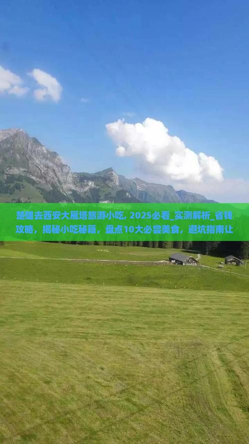 楚雄去西安大雁塔旅游小吃