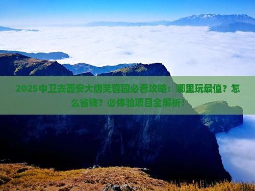 中卫去西安大唐芙蓉园哪里玩