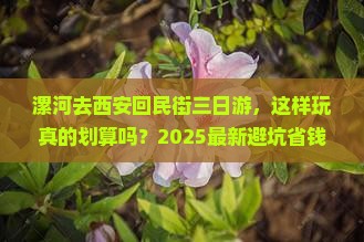 漯河去西安回民街三日游
